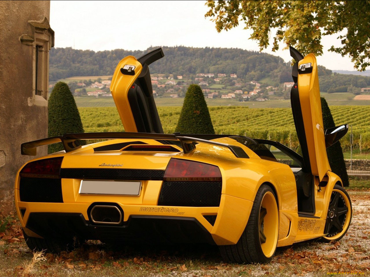 , lamborghini